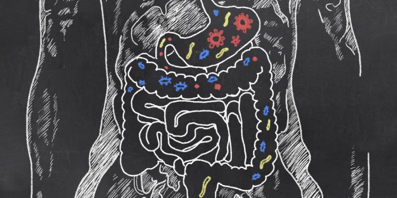 Darmsanierung mit Probiotika Darmsanierung mit Probiotika
