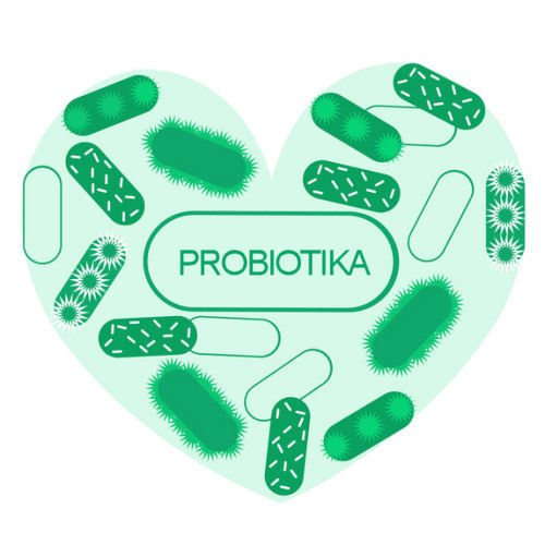 Das Sind Die 5 Besten Probiotika 2020 Kritischer Test Bbvb
