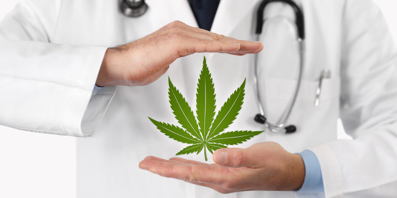 Cannabis Ratgeber - rechtliches - medizinischer Nutzen - Wirkungen Cannabis Ratgeber - rechtliches - medizinischer Nutzen - Wirkungen