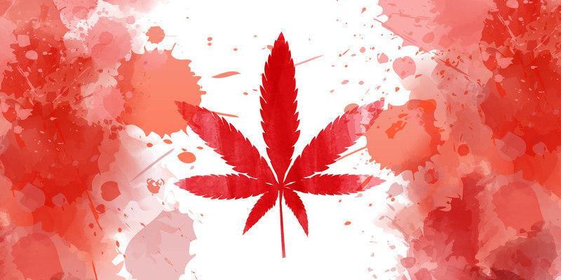 Cannabis in Kultur und Medizin vom Altertum bis heute Cannabis in Kultur und Medizin vom Altertum bis heute