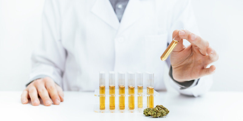 Alles Wissenswerte zu Einnahme und Darreichungsformen von CBD Alles Wissenswerte zu Einnahme und Darreichungsformen von CBD