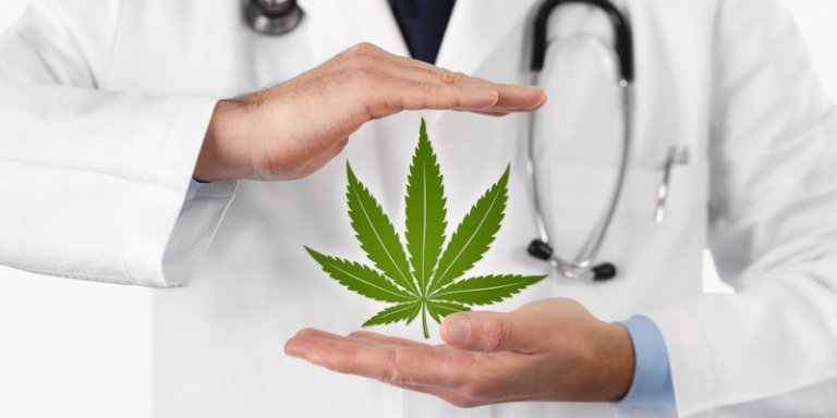 Aktuelle Situation rund um Cannabis - voranschreitende Legalisierung