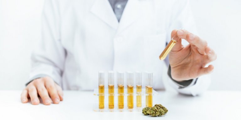 Alles Wissenswerte zu Einnahme und Darreichungsformen von CBD