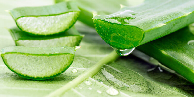 Aloe Vera