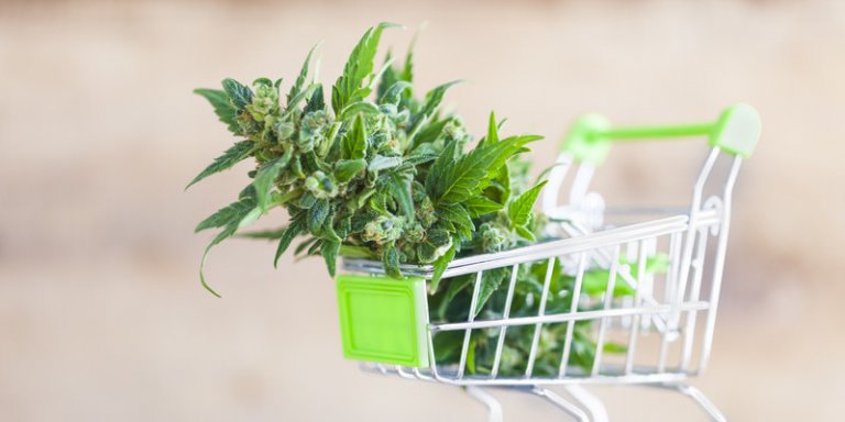 Cannabis – In Deutschland erhältliche Sorten