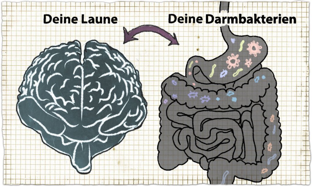 Darmbakterien bestimmen Laune - Probiotika