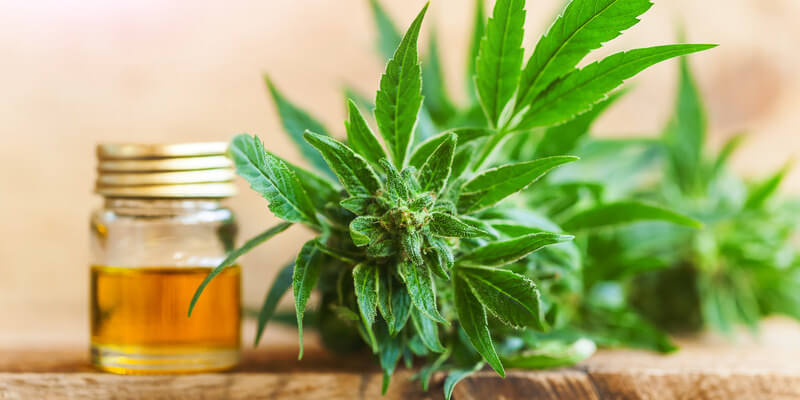 Informationen über CBD Extraktionsmethode
