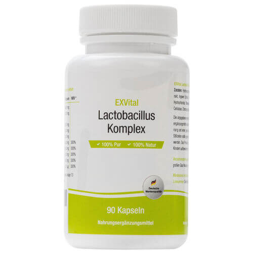 Lactobacillus Komplex EXVital