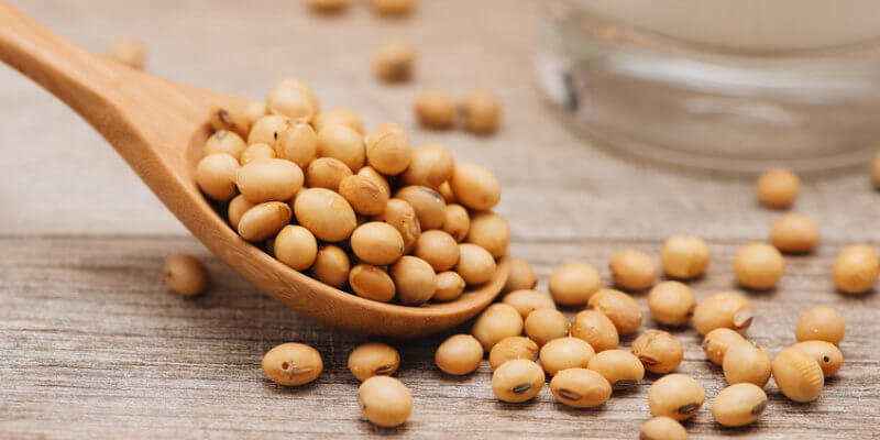 Soja Oestrogen fuer groessere Brueste