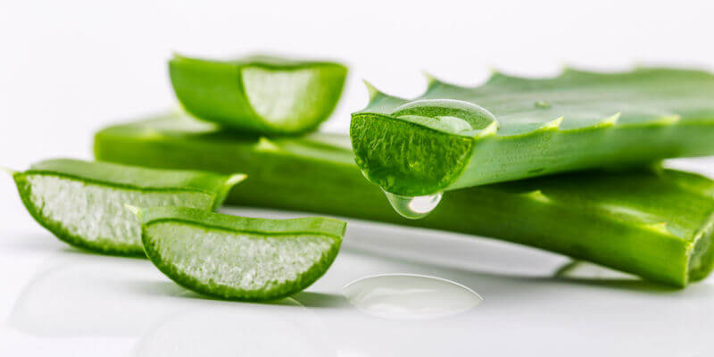 Aloe Vera Wimpernpflege