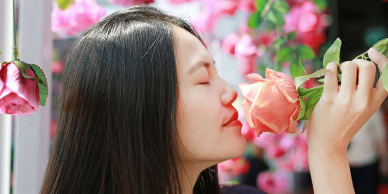 Kopfnote Herznote Basisnote