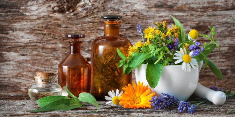 Pflanzenextrakte gegen Venenleiden