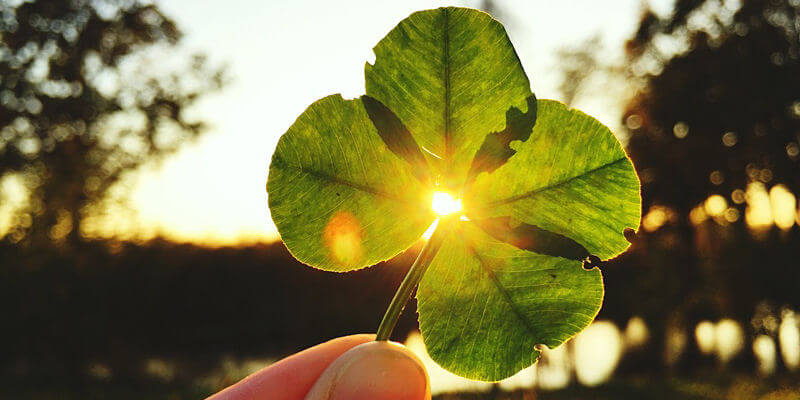 Vertrauen in die Natur