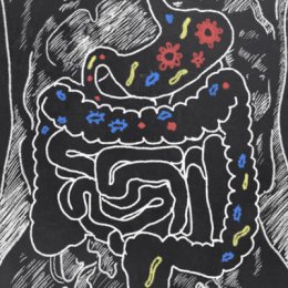 Darmsanierung mit Probiotika